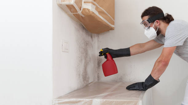 Professional Bathroom Mold Removal technician working in Perth Amboy, NJ