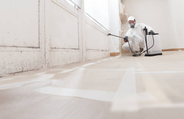 24/7 Emergency Bathroom Mold Removal experts in Perth Amboy, NJ